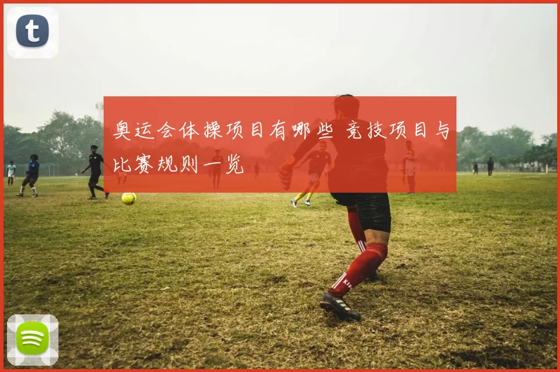 奥运会体操项目有哪些 竞技项目与比赛规则一览